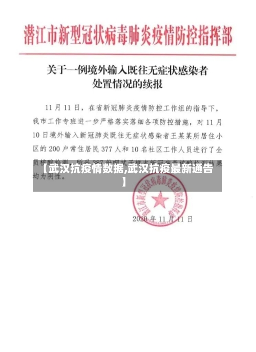 【武汉抗疫情数据,武汉抗疫最新通告】-第2张图片