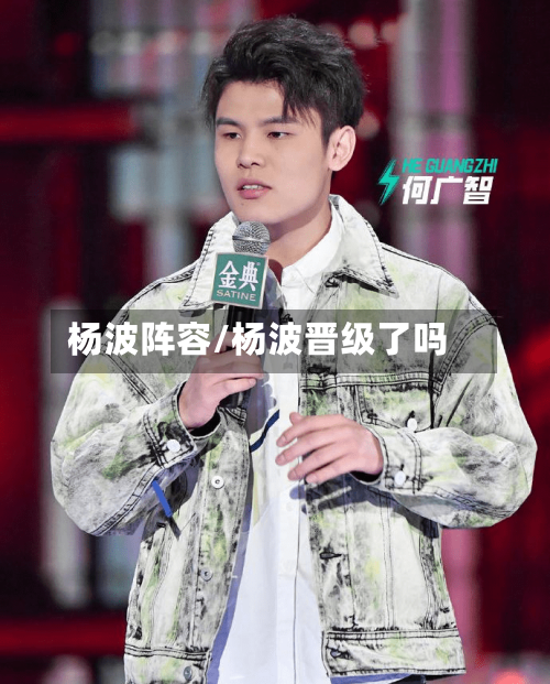 杨波阵容/杨波晋级了吗