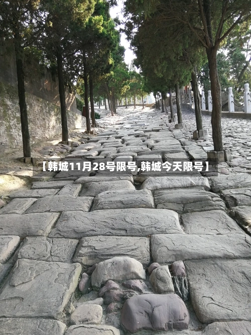 【韩城11月28号限号,韩城今天限号】
