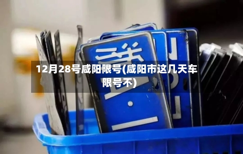 12月28号咸阳限号(咸阳市这几天车限号不)-第2张图片