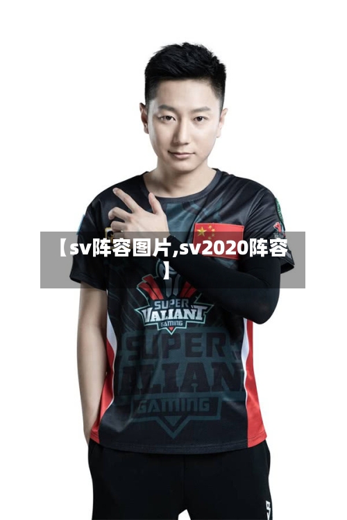 【sv阵容图片,sv2020阵容】