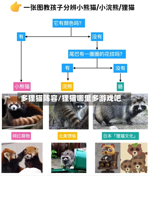 多狸猫阵容/狸猫哪里多游戏吧-第2张图片