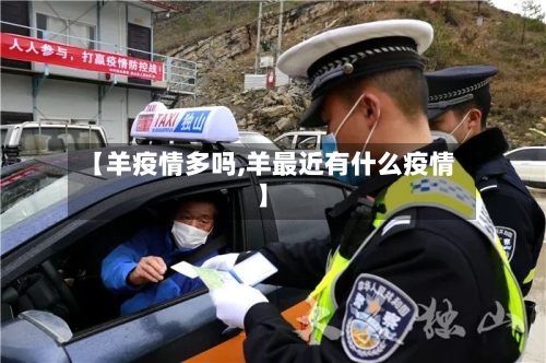 【羊疫情多吗,羊最近有什么疫情】