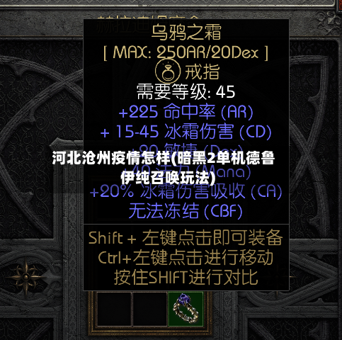 河北沧州疫情怎样(暗黑2单机德鲁伊纯召唤玩法)-第3张图片