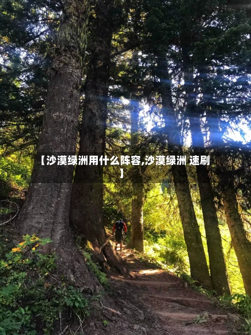 【沙漠绿洲用什么阵容,沙漠绿洲 速刷】