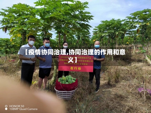 【疫情协同治理,协同治理的作用和意义】-第3张图片