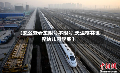 【怎么查看车限号不限号,天津格林世界幼儿园学费】-第2张图片
