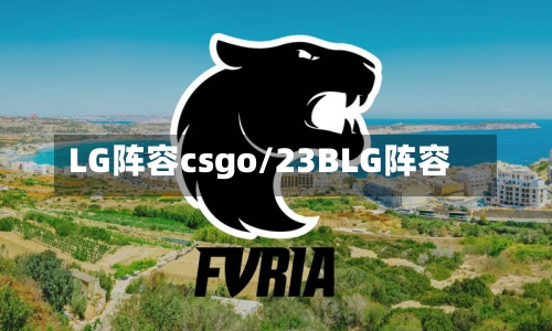 LG阵容csgo/23BLG阵容-第2张图片