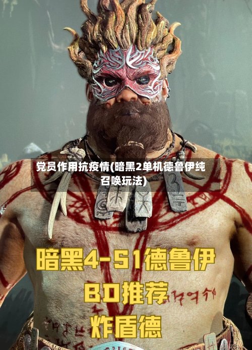 党员作用抗疫情(暗黑2单机德鲁伊纯召唤玩法)-第3张图片