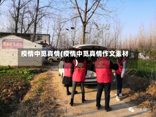 疫情中觅真情(疫情中觅真情作文素材)-第2张图片