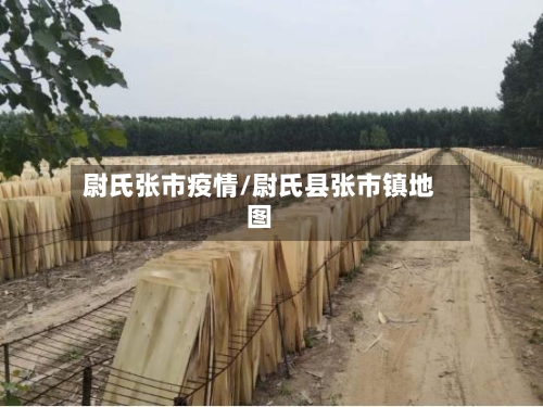 尉氏张市疫情/尉氏县张市镇地图