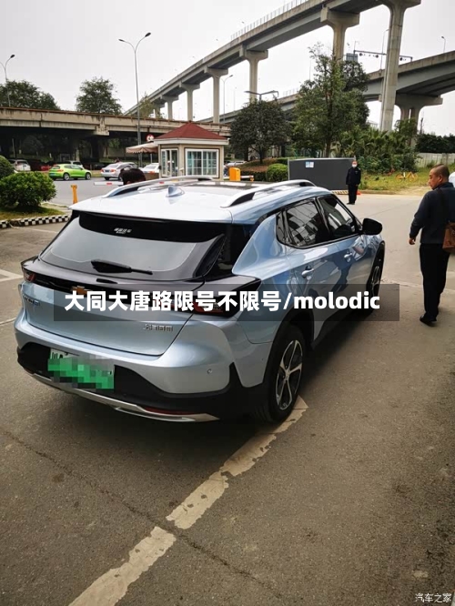 大同大唐路限号不限号/molodic