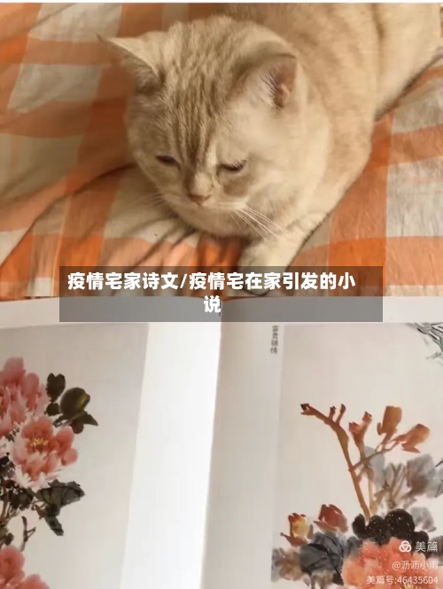 疫情宅家诗文/疫情宅在家引发的小说-第2张图片