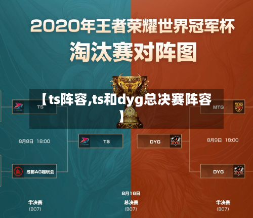 【ts阵容,ts和dyg总决赛阵容】-第3张图片