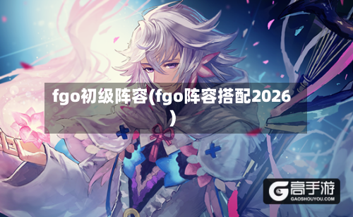 fgo初级阵容(fgo阵容搭配2026)-第3张图片