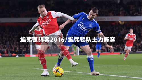 埃弗顿阵容2016/埃弗顿队主力阵容