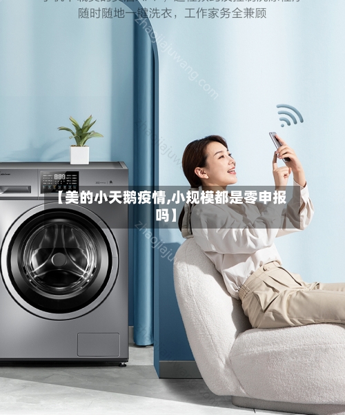 【美的小天鹅疫情,小规模都是零申报吗】