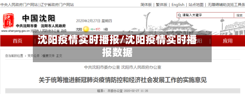 沈阳疫情实时播报/沈阳疫情实时播报数据