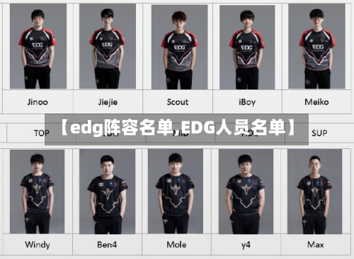 【edg阵容名单,EDG人员名单】