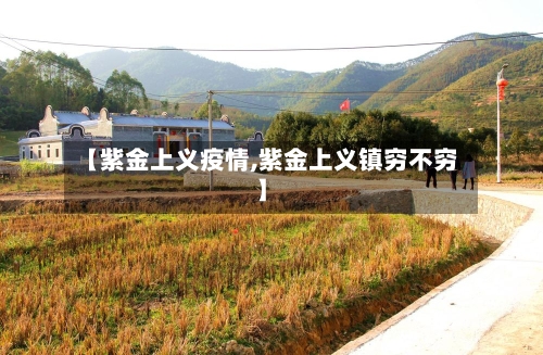 【紫金上义疫情,紫金上义镇穷不穷】