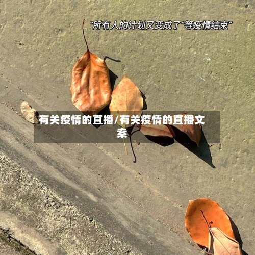有关疫情的直播/有关疫情的直播文案-第3张图片