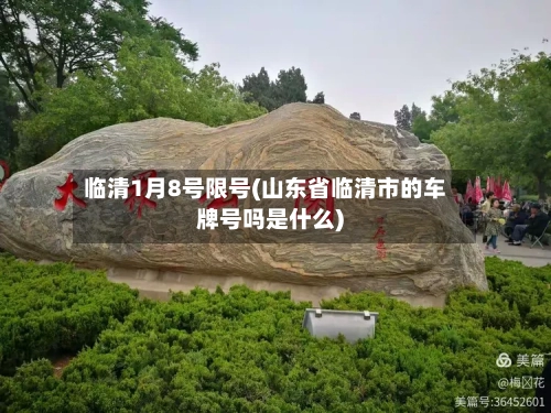 临清1月8号限号(山东省临清市的车牌号吗是什么)