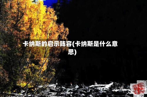 卡纳斯的启示阵容(卡纳斯是什么意思)