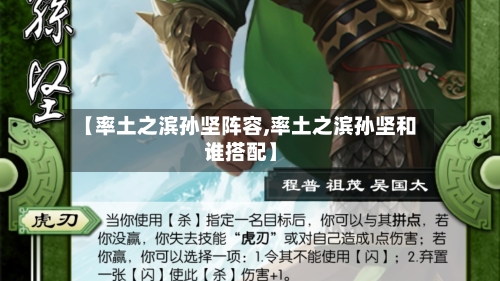 【率土之滨孙坚阵容,率土之滨孙坚和谁搭配】