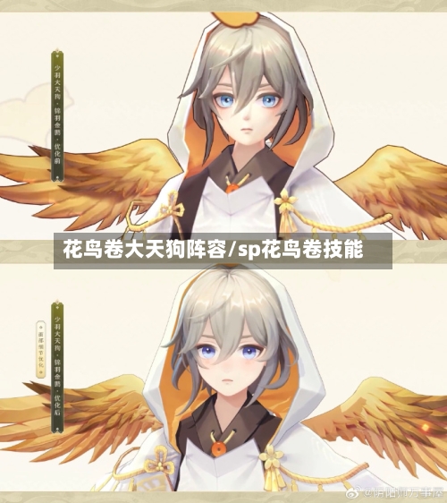 花鸟卷大天狗阵容/sp花鸟卷技能
