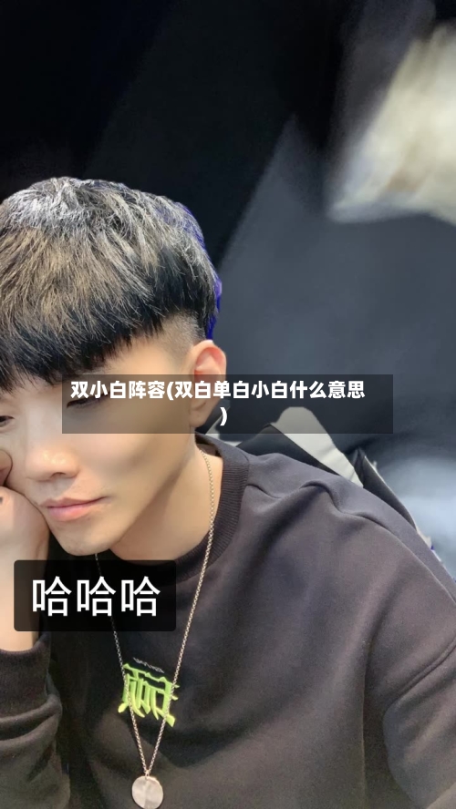 双小白阵容(双白单白小白什么意思)-第2张图片