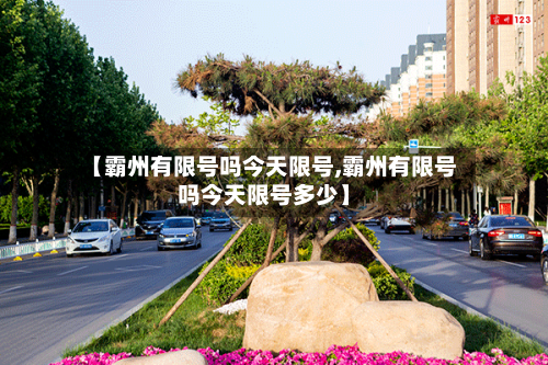 【霸州有限号吗今天限号,霸州有限号吗今天限号多少】