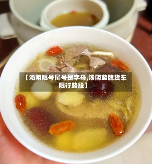 【汤阴限号尾号是字母,汤阴蓝牌货车限行路段】
