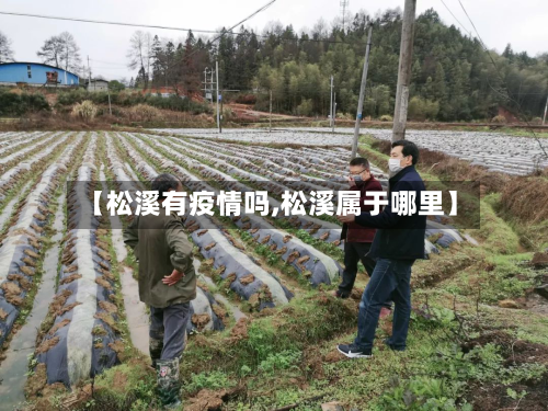【松溪有疫情吗,松溪属于哪里】
