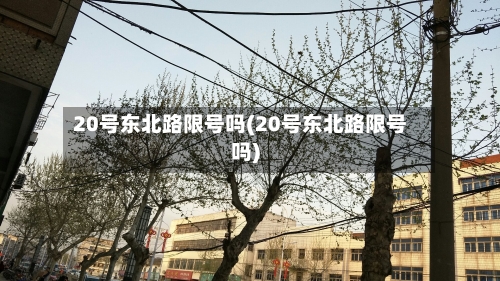 20号东北路限号吗(20号东北路限号吗)