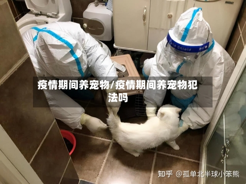 疫情期间养宠物/疫情期间养宠物犯法吗