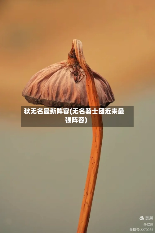 秋无名最新阵容(无名骑士团近来最强阵容)