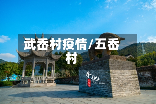 武岙村疫情/五岙村