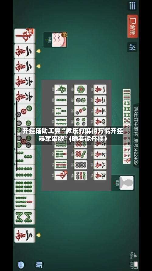 开挂辅助工具“微乐打麻将万能开挂器苹果版”(确实能开挂）-第3张图片