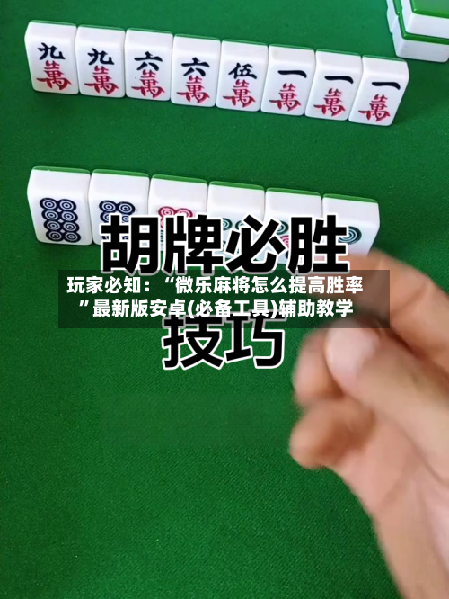 玩家必知：“微乐麻将怎么提高胜率”最新版安卓(必备工具)辅助教学-第2张图片