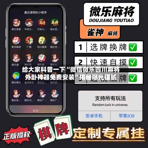 给大家科普一下“微信微乐四川麻将外卦神器免费安装”揭秘曝光猫腻-第3张图片