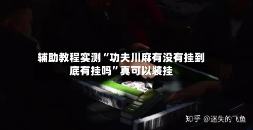 辅助教程实测“功夫川麻有没有挂到底有挂吗	”真可以装挂-第2张图片
