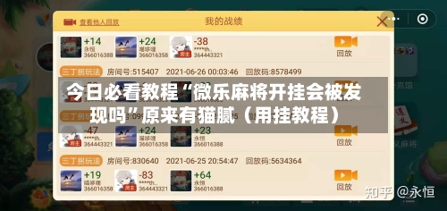 今日必看教程“微乐麻将开挂会被发现吗”原来有猫腻（用挂教程）-第2张图片