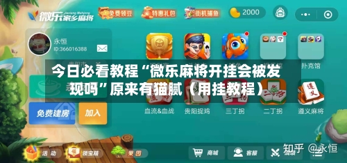 今日必看教程“微乐麻将开挂会被发现吗	”原来有猫腻（用挂教程）-第3张图片