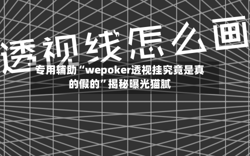 专用辅助“wepoker透视挂究竟是真的假的”揭秘曝光猫腻