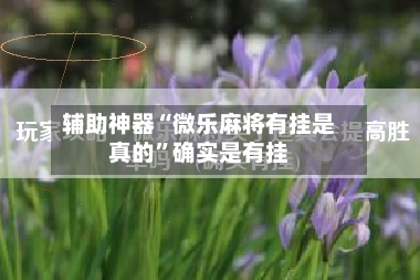 辅助神器“微乐麻将有挂是真的”确实是有挂