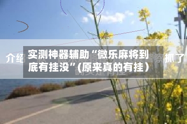 实测神器辅助“微乐麻将到底有挂没”(原来真的有挂）-第1张图片