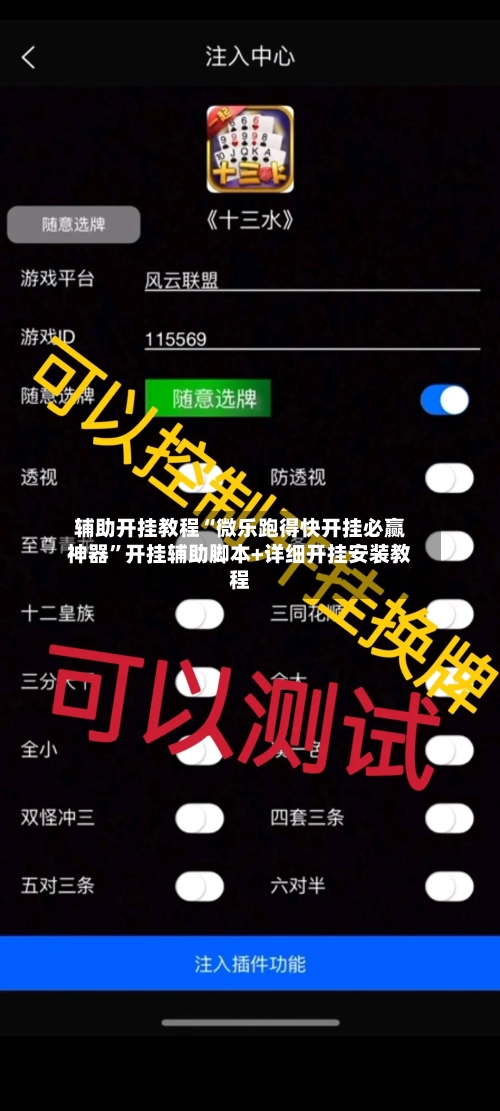 辅助开挂教程“微乐跑得快开挂必赢神器	”开挂辅助脚本+详细开挂安装教程-第2张图片
