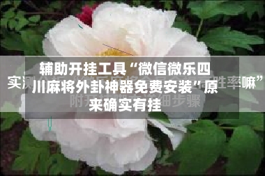辅助开挂工具“微信微乐四川麻将外卦神器免费安装	”原来确实有挂-第2张图片
