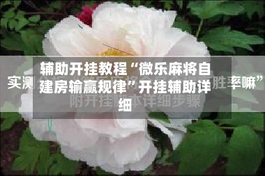 辅助开挂教程“微乐麻将自建房输赢规律	”开挂辅助详细-第2张图片