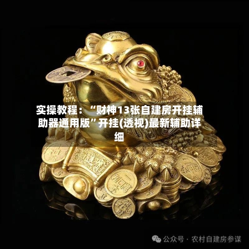 实操教程：“财神13张自建房开挂辅助器通用版”开挂(透视)最新辅助详细-第3张图片